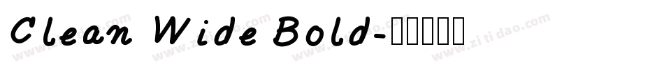 Clean Wide Bold字体转换